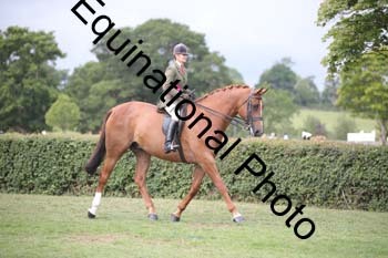UCL-2101