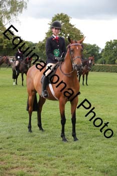 UCL-2763
