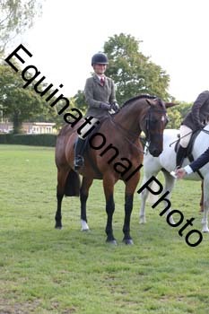 UCL-3795