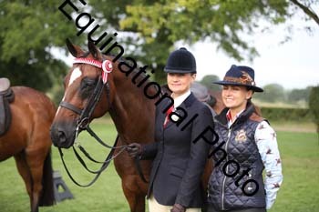 MQR-1231