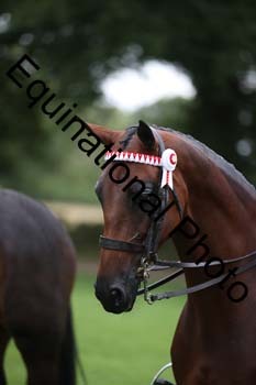 MQR-1328