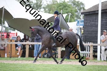 MQR-1535