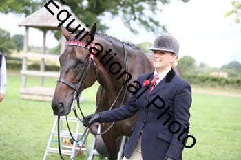 MQR-1773