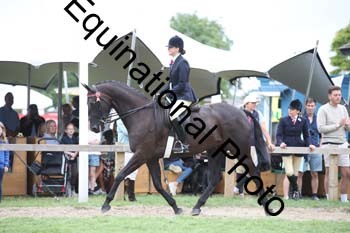 MQR-2012