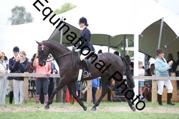 MQR-2013