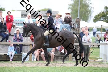 MQR-2019