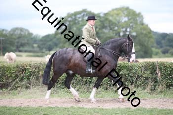 MQR-3147