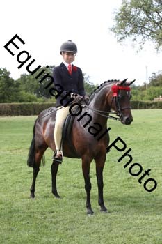 MQR-4174