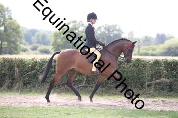 MQR-4277