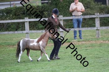 DFZ-1048