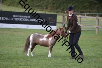 DFZ-1073