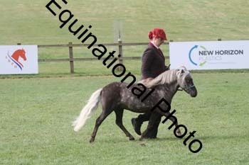 DFZ-1173