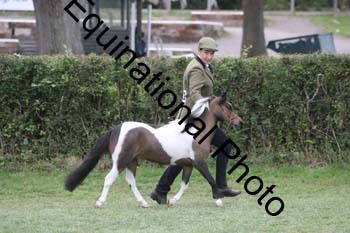 DFZ-1368
