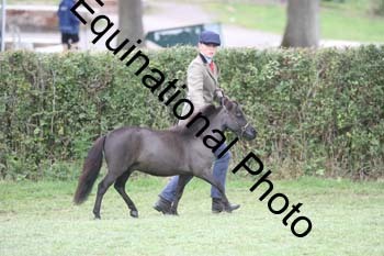 DFZ-1409
