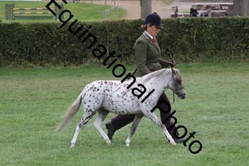DFZ-1578
