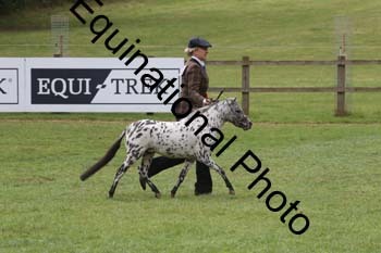 DFZ-1717