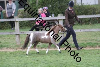 DFZ-1864