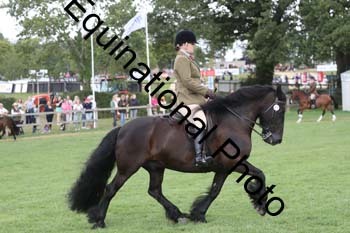 DFZ-2161