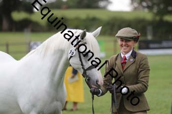 DFZ-2810