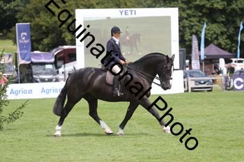 WYC-1047