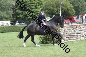 WYC-1066