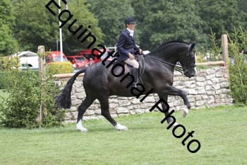 WYC-1067