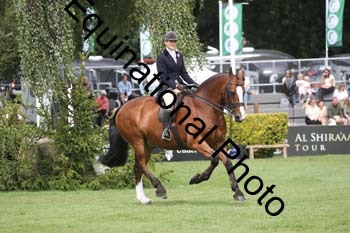WYC-1069