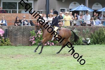 WYC-1682