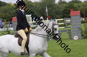 WYC-1739