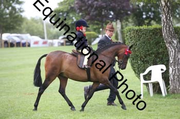BUG-1466