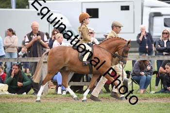 BUG-2087