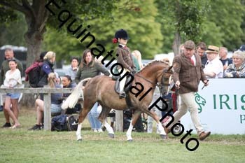 BUG-2181