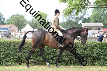 BUG-2589