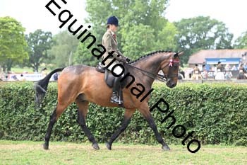 BUG-2592