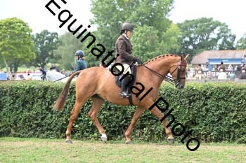BUG-2598