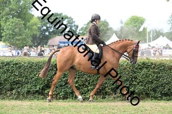 BUG-2599