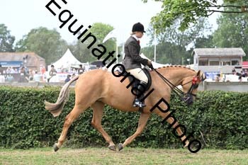 BUG-2603