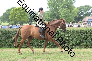 BUG-2626