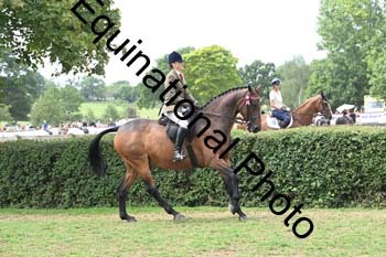 BUG-2646