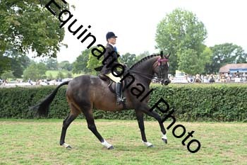 BUG-2650