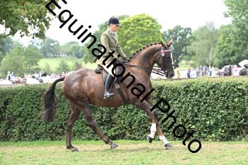 BUG-2656