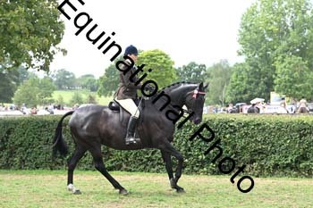BUG-2660