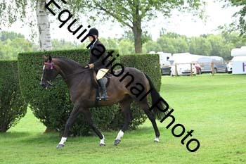 BUG-2688
