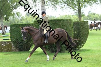 BUG-2695