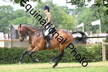 BUG-2734