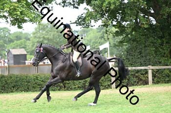 BUG-2737