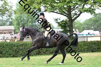 BUG-2738