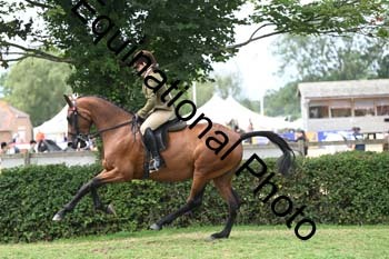 BUG-2740