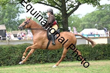 BUG-2752