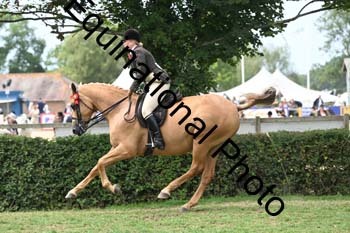 BUG-2754